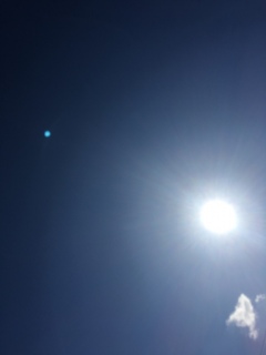 (*�M�́L*)�m♡