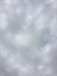 (�V�L�́M)�E�B�B♡