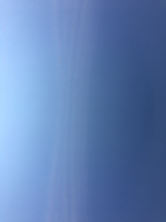 ��d(�L�́M)♡