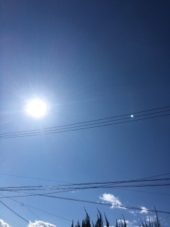 ♡(o�L�ցMo)�j✨