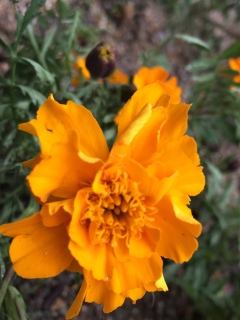 11/10�������W���[�X�V( �L �� ` )�m��