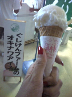 �I�L�i���A�C�X��