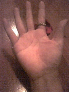 �͑�`�i���́��j��