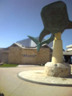 �������C�����ف�