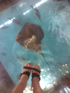 �����T���i����ϗ��R�[�X�j