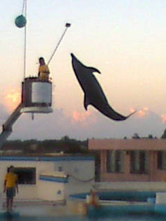 �I�L����񌀏�