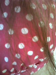 �T�[�r�X�V���b�g����