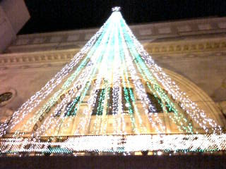 ���ږx�j��ő勉�̃N���X�}�X�c���[��