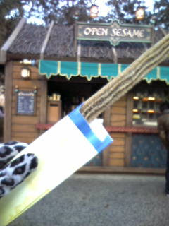 ����́c��(�P���P)�I