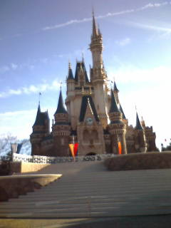 �V���f�����遚