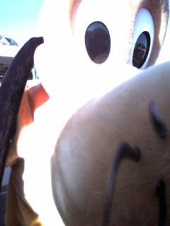 �A�b��(�P���P)�I