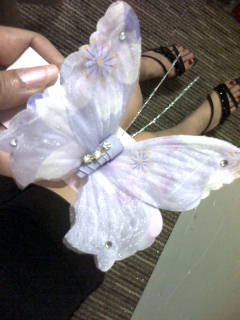 Butterfly�`