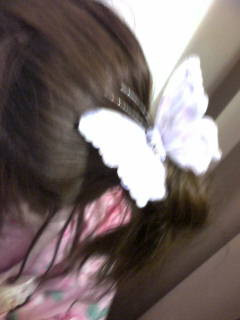 Butterfly�`('-'*)��