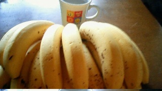 �o�i�i����(�M�ցL)��