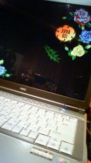 Butterfly�`('-'*)��