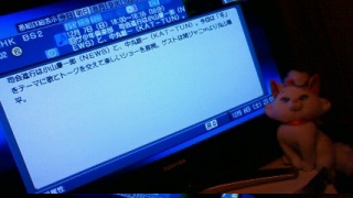 �}������񁚏͑q( �L䇁M)��