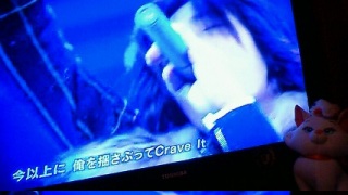 ���q�l(������ )