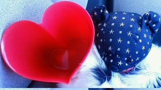 LOVE��