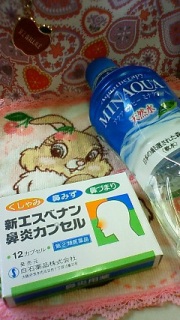 �H��́`('-'*)