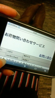 �z�B�I���`('-'*)��