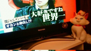 ���E��(*�L�́M*)