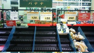 �o�i�i������(�P���P)!!