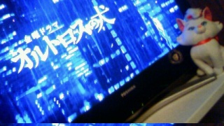 �I���g���X�̌�